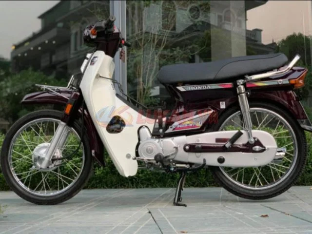 Dây điện sườn chính xe DREAM Thái zin Honda chính hãng - Ảnh 3
