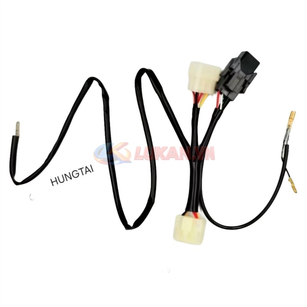 Bộ dây điện chuyển lên sạc ex 150 xe DREAM Thái - Ảnh 2
