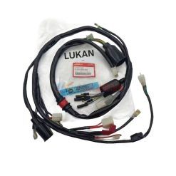Bộ dây điện sườn chính xe DREAM Thái zin chính hãng Honda xịn