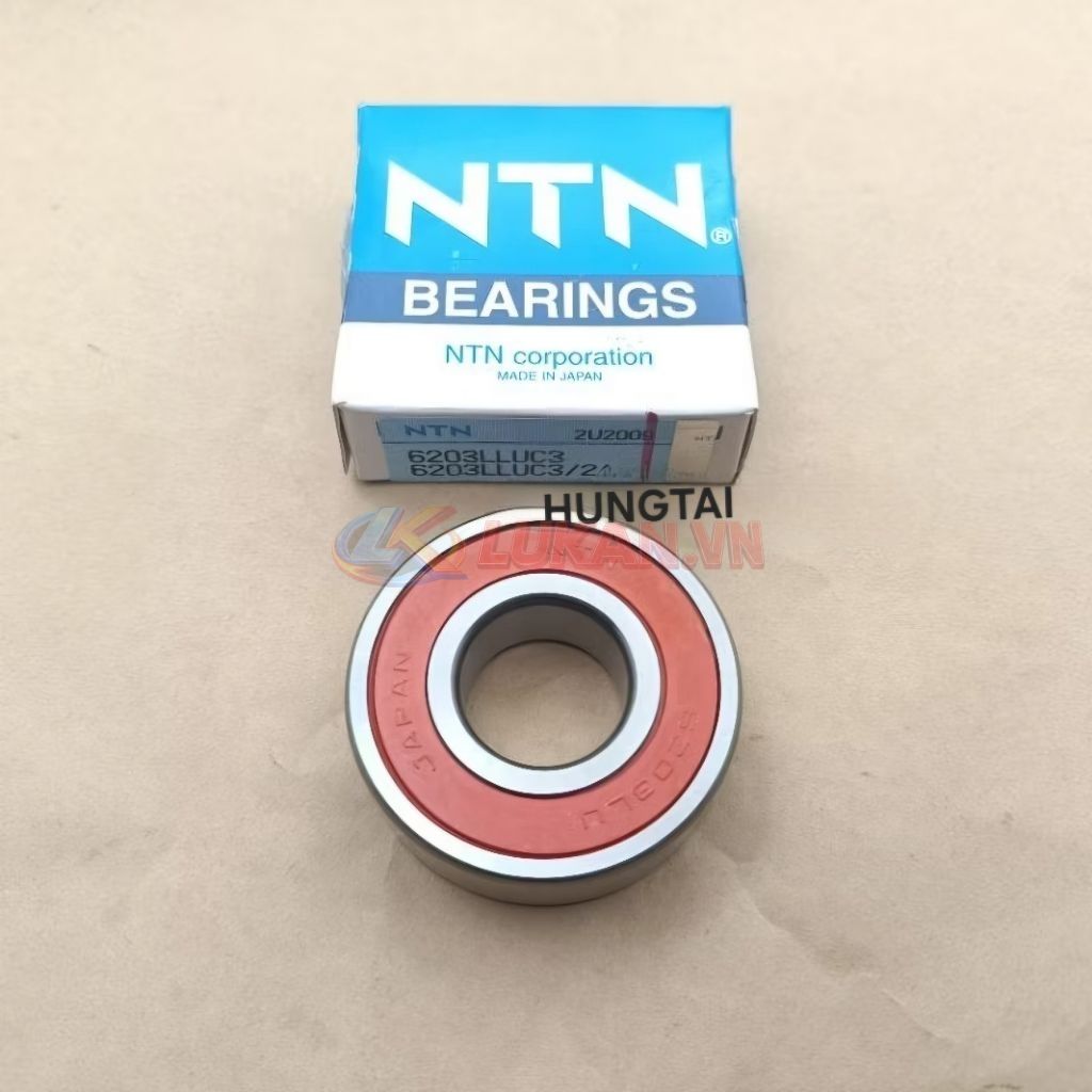 Vòng bi, bạc đạn cùi dĩa, nhông tải DREAM, WAVE, FUTURE... NTN 6203 - Ảnh 4