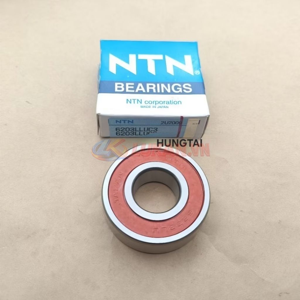 Vòng bi, bạc đạn cùi dĩa, nhông tải DREAM, WAVE, FUTURE... NTN 6203 - Ảnh 3