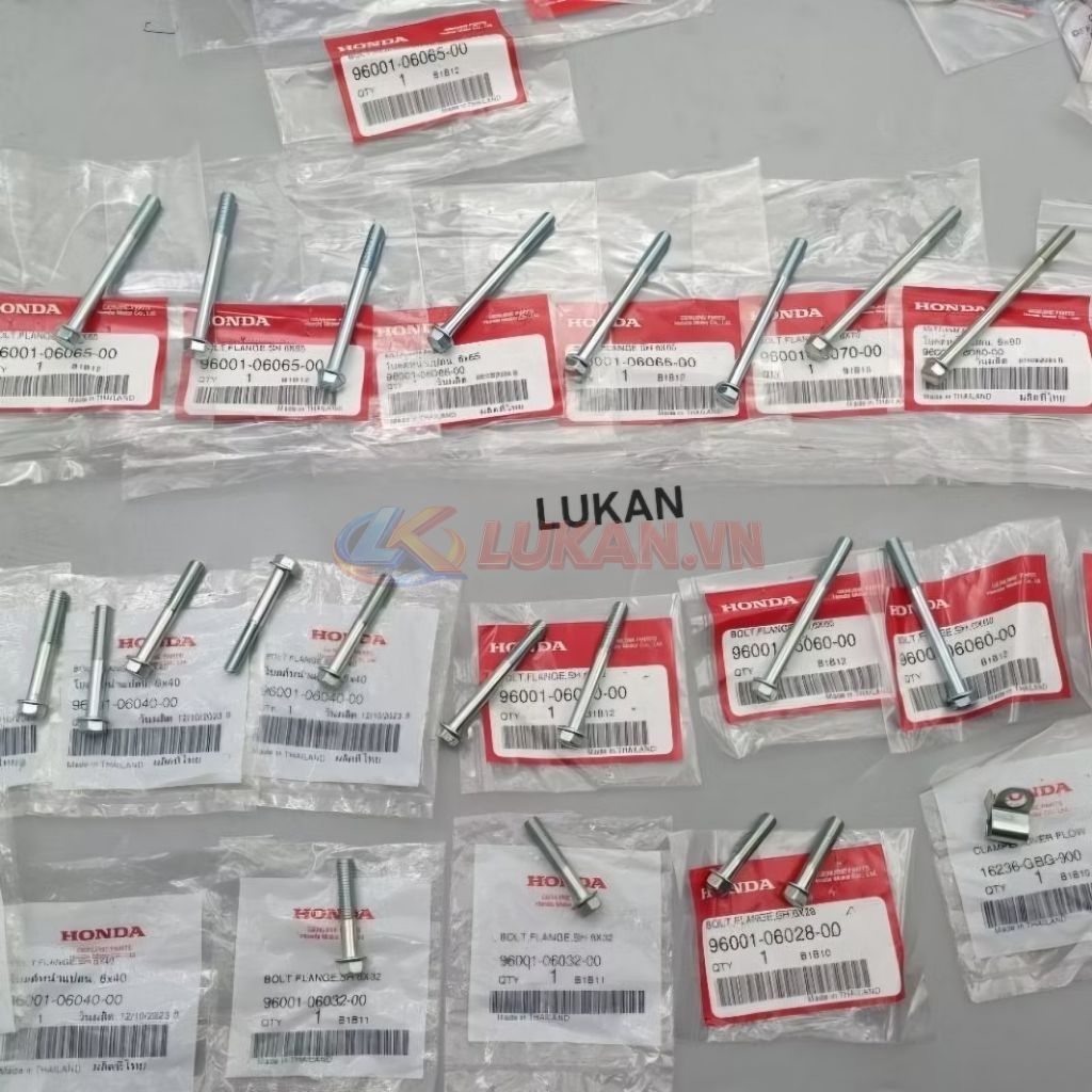Full bộ ốc, bu lông lốc máy xe DREAM, WAVE... zin Honda Thái