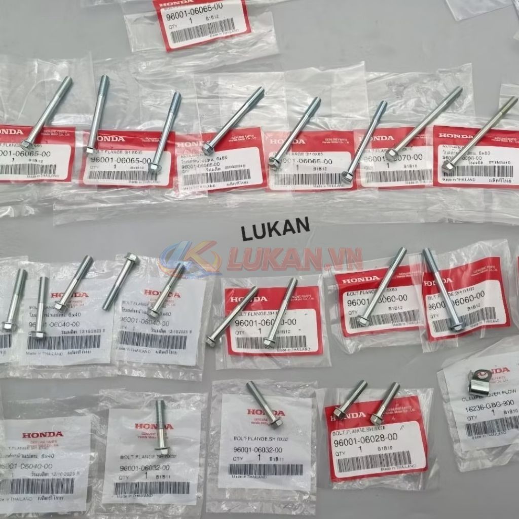 Full bộ ốc, bu lông lốc máy xe DREAM, WAVE... zin Honda Thái - Ảnh 2