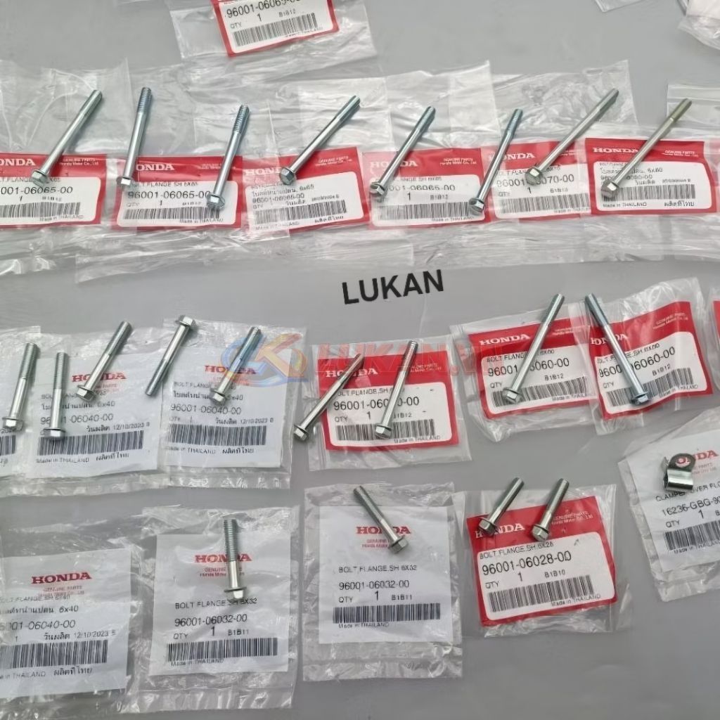 Full bộ ốc, bu lông lốc máy xe DREAM, WAVE... zin Honda Thái - Ảnh 3