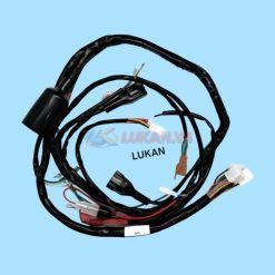 Bộ dây điện sườn chính xe CITI DAELIM....