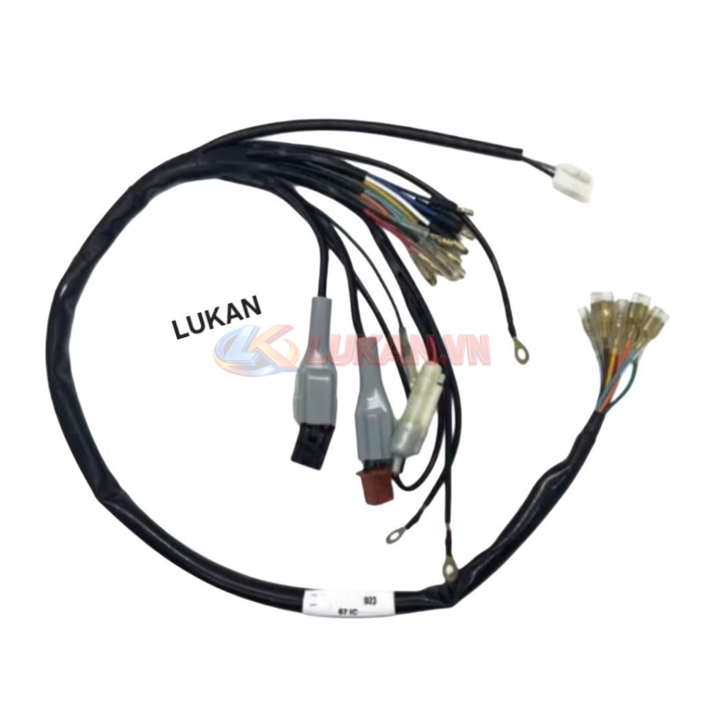 Bộ dây điện sườn chính xe 67 IC