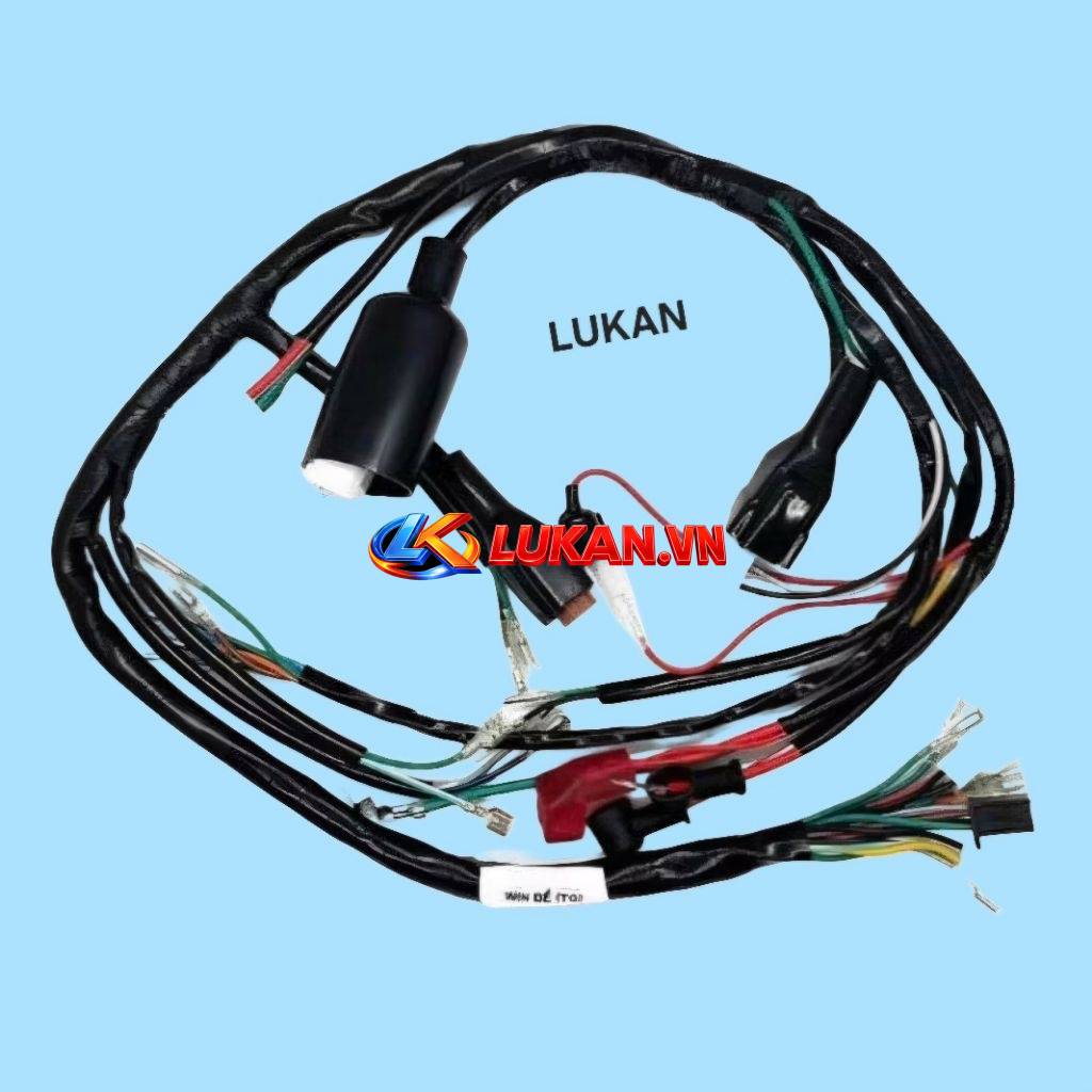 Bộ dây điện sườn chính xe WIN có đề
