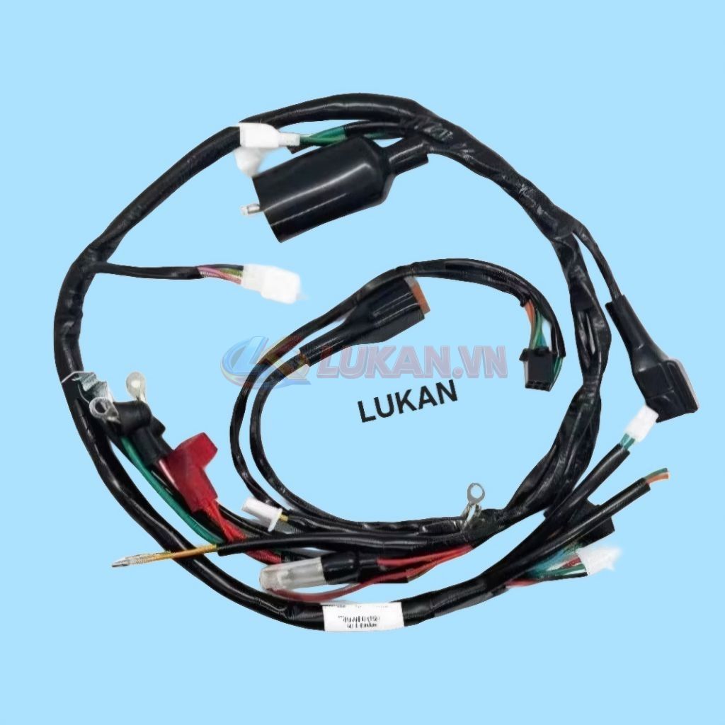 Bộ dây điện sườn chính xe FUTURE TQ IC 5C - Ảnh 2