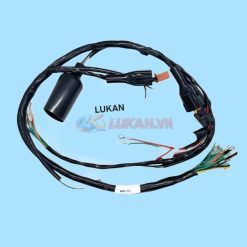 Bộ dây điện sườn chính xe WIN