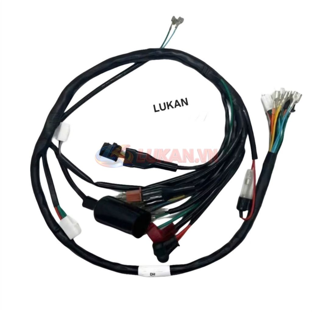 Bộ dây điện sườn chính xe DH....