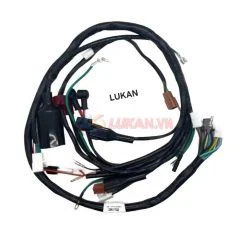 Bộ dây điện sườn chính xe DREAM TQ.... sài chui giắc cắm