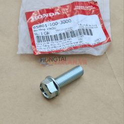 Ốc, bu lông chân phuộc sau dưới FUTURE.... zin Honda 10x30 95801-100-3000