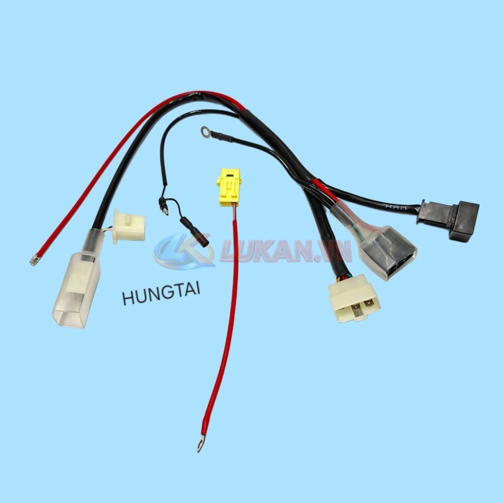 Bộ dây điện chuyển lên sạc EX 150 xe FUTURE NEO, X 125 FI.... có Rơ le - Ảnh 2